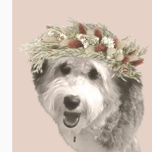 Meet your Posher, Benita